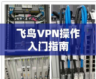 飞鸟VPN操作入门指南