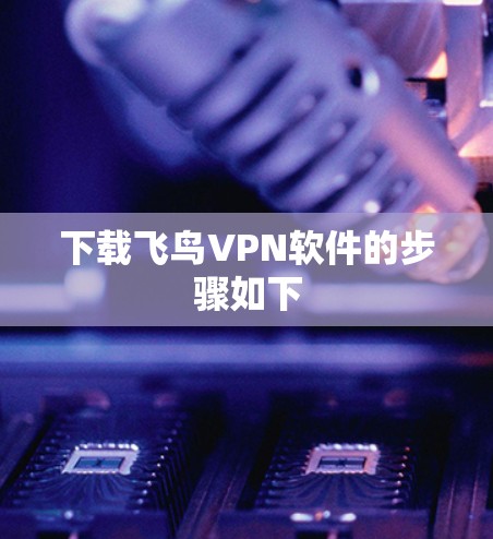 下载飞鸟VPN软件的步骤如下