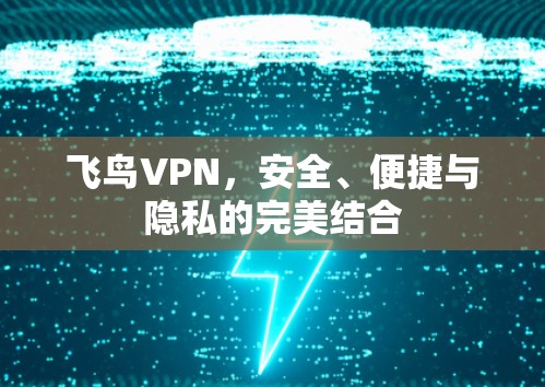 飞鸟VPN,安全、便捷与隐私的完美结合 飞鸟VPN,安全、便捷与隐私的完美结合