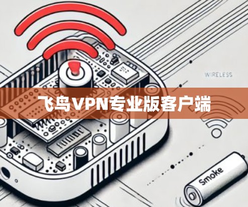 飞鸟VPN专业版客户端