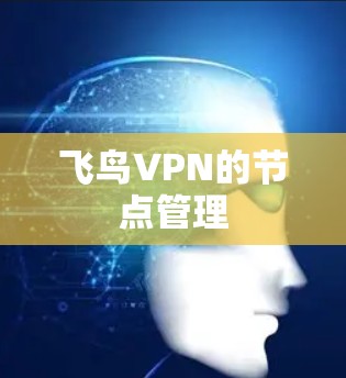 飞鸟VPN的节点管理 飞鸟VPN的节点管理