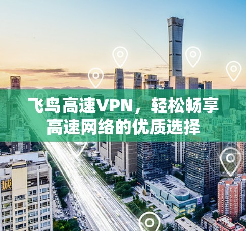 飞鸟高速VPN,轻松畅享高速网络的优质选择 飞鸟高速VPN,轻松畅享高速网络的优质选择
