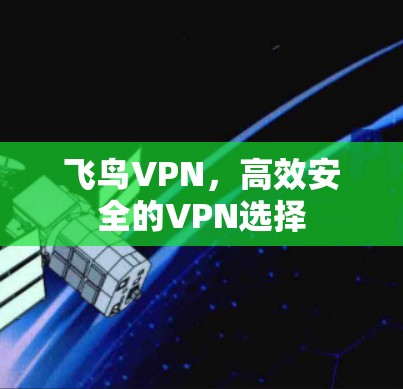 飞鸟VPN,高效安全的VPN选择 飞鸟VPN,高效安全的VPN选择