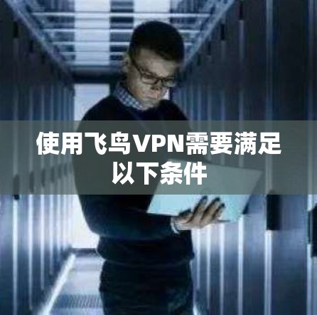 使用飞鸟VPN需要满足以下条件