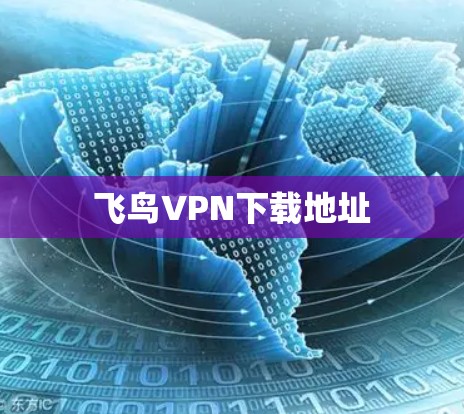 飞鸟VPN下载地址