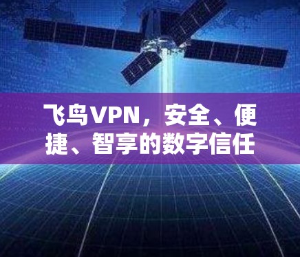 飞鸟VPN,安全、便捷、智享的数字信任 飞鸟VPN,安全、便捷、智享的数字信任