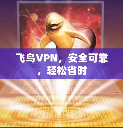 飞鸟VPN,安全可靠,轻松省时 飞鸟VPN,安全可靠,轻松省时
