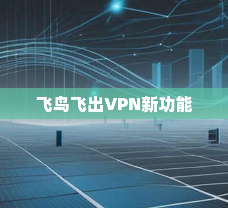 飞鸟飞出VPN新功能 飞鸟飞出VPN新功能