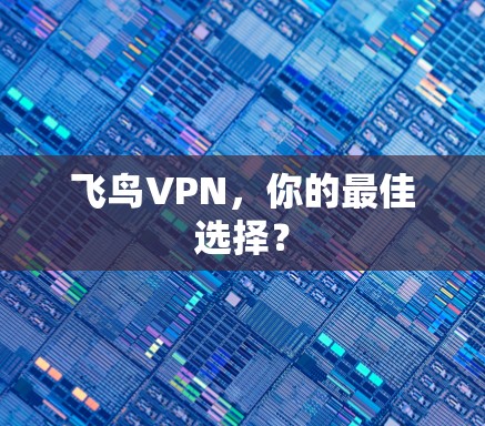 飞鸟VPN,你的最佳选择? 飞鸟VPN,你的最佳选择?