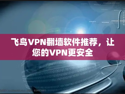 飞鸟VPN翻墙软件推荐,让您的VPN更安全 飞鸟VPN翻墙软件推荐,让您的VPN更安全