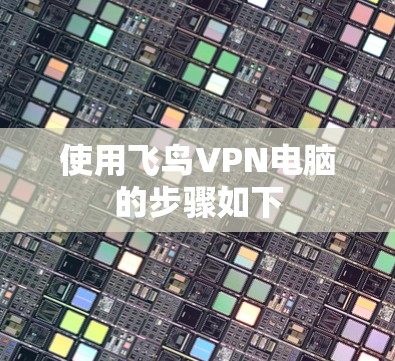 使用飞鸟VPN电脑的步骤如下