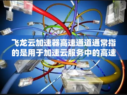 飞龙云加速器高速通道通常指的是用于加速云服务中的高速数据传输或文件处理的加速器。飞龙云加速器是一种专门用于提升数据传输速度和处理效率的云加速技术，支持多种设备和应用场景