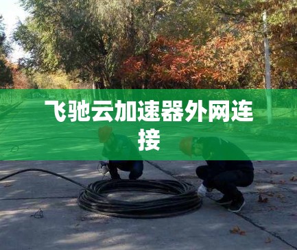 飞驰云加速器外网连接 飞驰云加速器外网连接