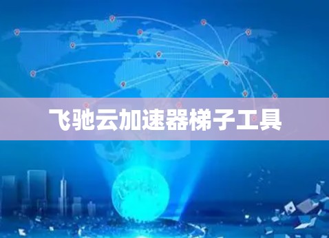 飞驰云加速器梯子工具