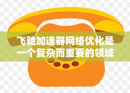 飞驰加速器网络优化是一个复杂而重要的领域，涉及到多个技术领域和方法的结合。以下是对该领域的详细分析和总结