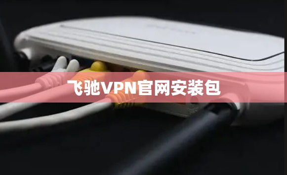 飞驰VPN官网安装包