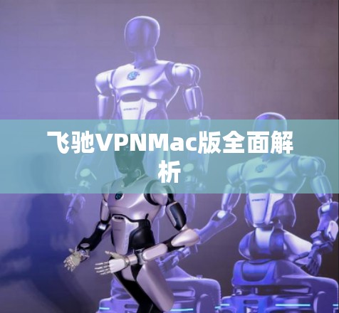 飞驰VPNMac版全面解析 飞驰VPNMac版全面解析