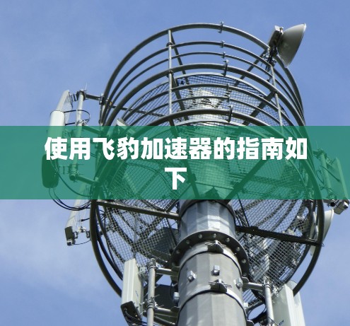 使用飞豹加速器的指南如下