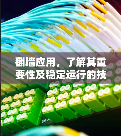 翻墙应用，了解其重要性及稳定运行的技巧