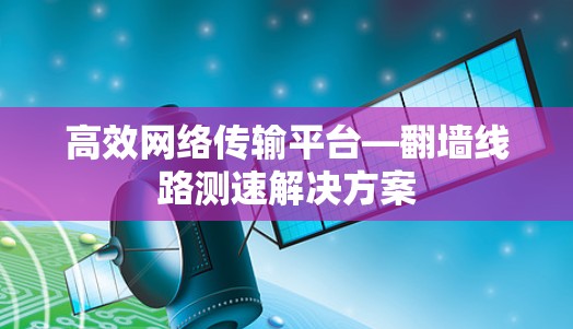 高效网络传输平台—翻墙线路测速解决方案