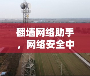 翻墙网络助手，网络安全中的关键工具与挑战