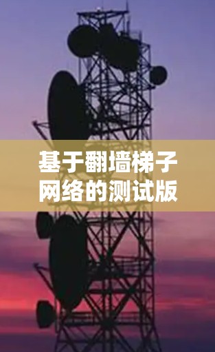 基于翻墙梯子网络的测试版