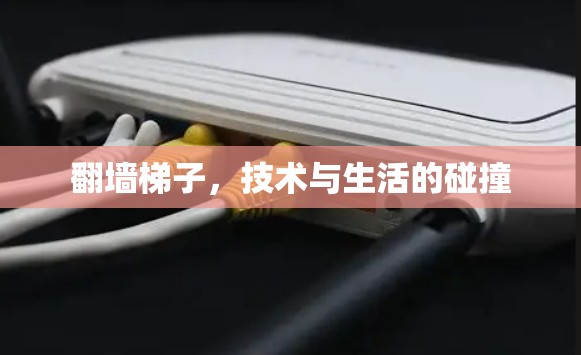 翻墙梯子，技术与生活的碰撞