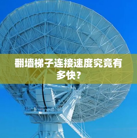 翻墙梯子连接速度究竟有多快？
