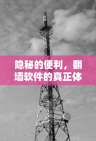 隐秘的便利，翻墙软件的真正体验