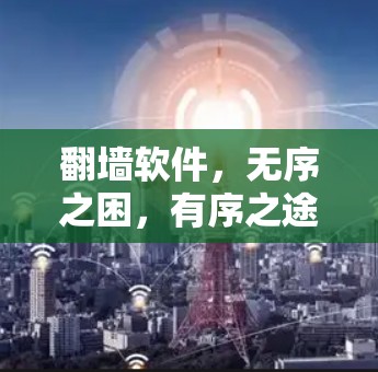 翻墙软件，无序之困，有序之途