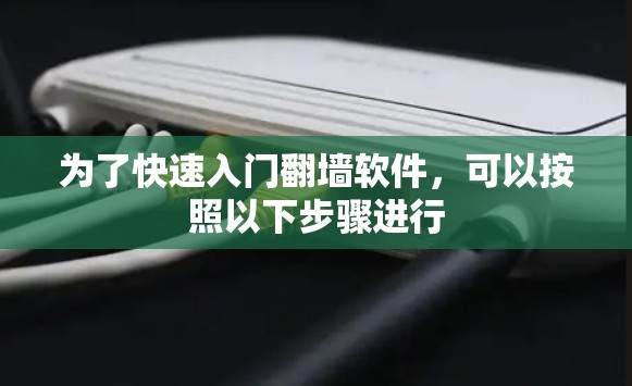 为了快速入门翻墙软件，可以按照以下步骤进行