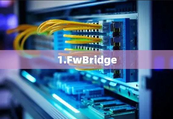 1.FwBridge