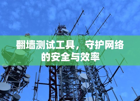 翻墙测试工具，守护网络的安全与效率
