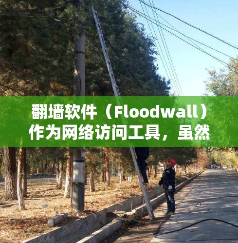 翻墙软件(Floodwall)作为网络访问工具,虽然帮助用户跨越物理边界访问网络资源,但也存在一些常见问题。以下是一些可能的常见问题及解决方法 翻墙软件(Floodwall)作为网络访问工具,虽然帮助用户跨越物理边界访问网络资源,但也存在一些常见问题。以下是一些可能的常见问题及解决方法