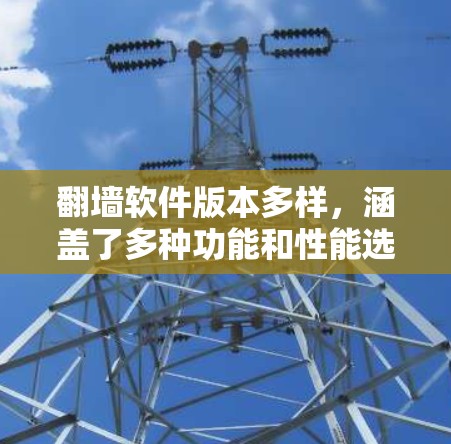 翻墙软件版本多样，涵盖了多种功能和性能选项。以下是它们的主要特点和版本范围