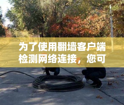 为了使用翻墙客户端检测网络连接，您可以按照以下步骤进行