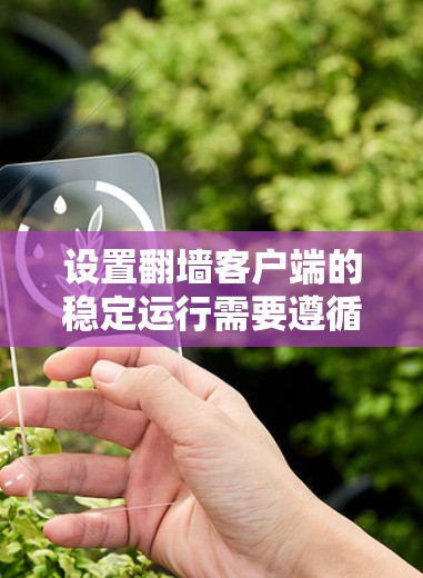 设置翻墙客户端的稳定运行需要遵循以下步骤，确保客户端安全且高效地访问翻墙服务器