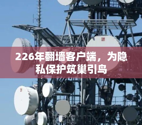 226年翻墙客户端，为隐私保护筑巢引鸟