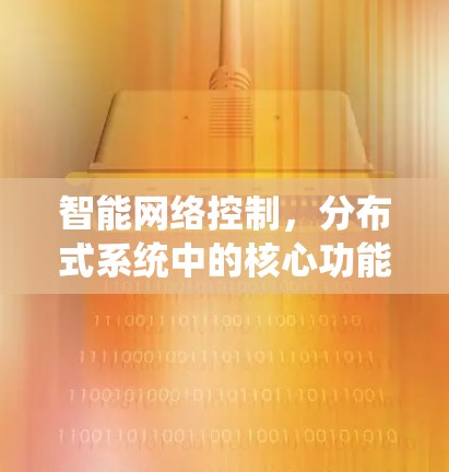 智能网络控制，分布式系统中的核心功能