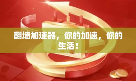翻墙加速器，你的加速，你的生活！