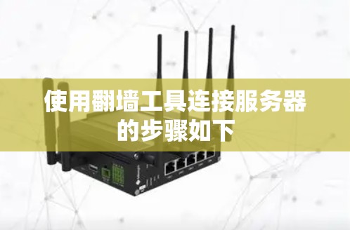 使用翻墙工具连接服务器的步骤如下