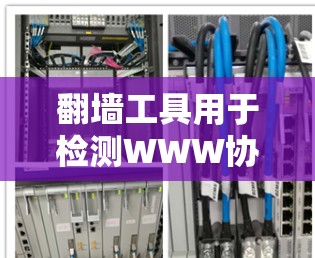 翻墙工具用于检测WWW协议和HTTP协议是否被加密,确保网络流量的安全性。检测速度是评估翻墙工具性能的重要指标,包括吞吐量、延迟、开销等。以下是对速度检测方法的详细总结 翻墙工具用于检测WWW协议和HTTP协议是否被加密,确保网络流量的安全性。检测速度是评估翻墙工具性能的重要指标,包括吞吐量、延迟、开销等。以下是对速度检测方法的详细总结