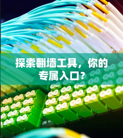 探索翻墙工具，你的专属入口？