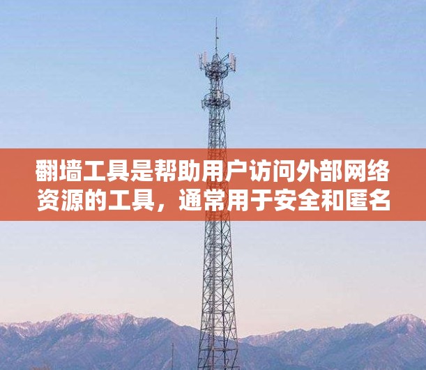 翻墙工具是帮助用户访问外部网络资源的工具，通常用于安全和匿名访问。以下是对翻墙工具的详细分析和建议