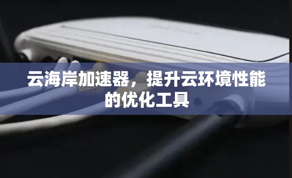 云海岸加速器，提升云环境性能的优化工具
