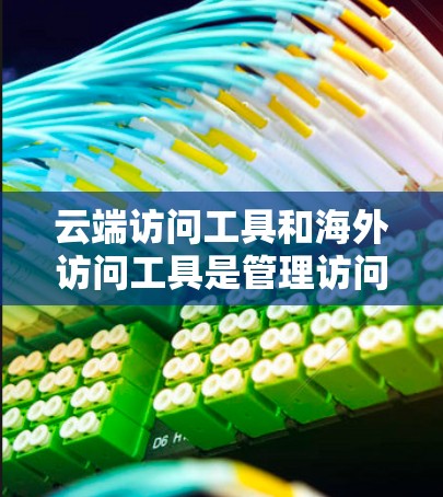 云端访问工具和海外访问工具是管理访问权限和数据的高科技解决方案，它们在不同的场景下发挥着重要作用。以下是它们的核心功能、应用场景、实施步骤、合规性要求和优缺点的详细分析