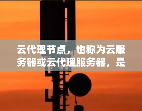 云代理节点，也称为云服务器或云代理服务器，是通过云平台（如AWS、Azure、Google Cloud等）提供的服务，用于管理、存储和处理用户或业务数据的服务器。以下是对云代理节点的详细总结