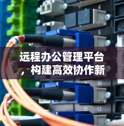 远程办公管理平台，构建高效协作新范式