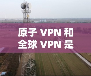 原子 VPN 和全球 VPN 是两种不同的VPN技术,它们在实现和应用上有显著的不同。以下是对这两种技术的详细介绍 原子 VPN 和全球 VPN 是两种不同的VPN技术,它们在实现和应用上有显著的不同。以下是对这两种技术的详细介绍
