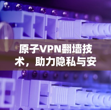原子VPN翻墙技术，助力隐私与安全的未来